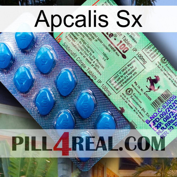 Apcalis Sx new02.jpg